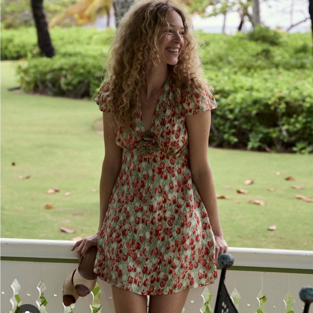 KELSEA DRESS -- TULIP FIELDS NWOT